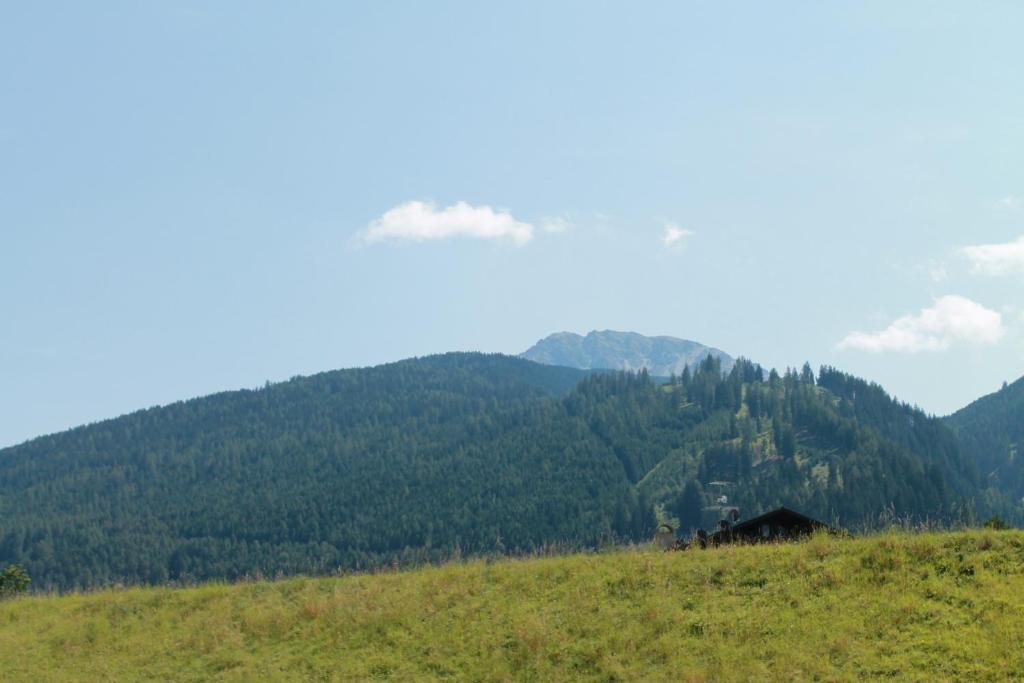 Funerhof Innsbruck Kültér fotó
